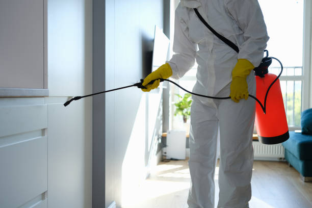 Best Biohazard Mold Removal  in Wernersville, PA