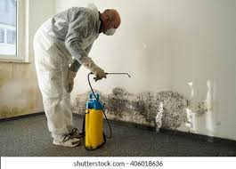 Best Environmental Consulting for Mold Prevention  in Wernersville, PA